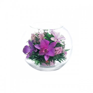 FIORA Арт:44656(BLO) цветы в стекле